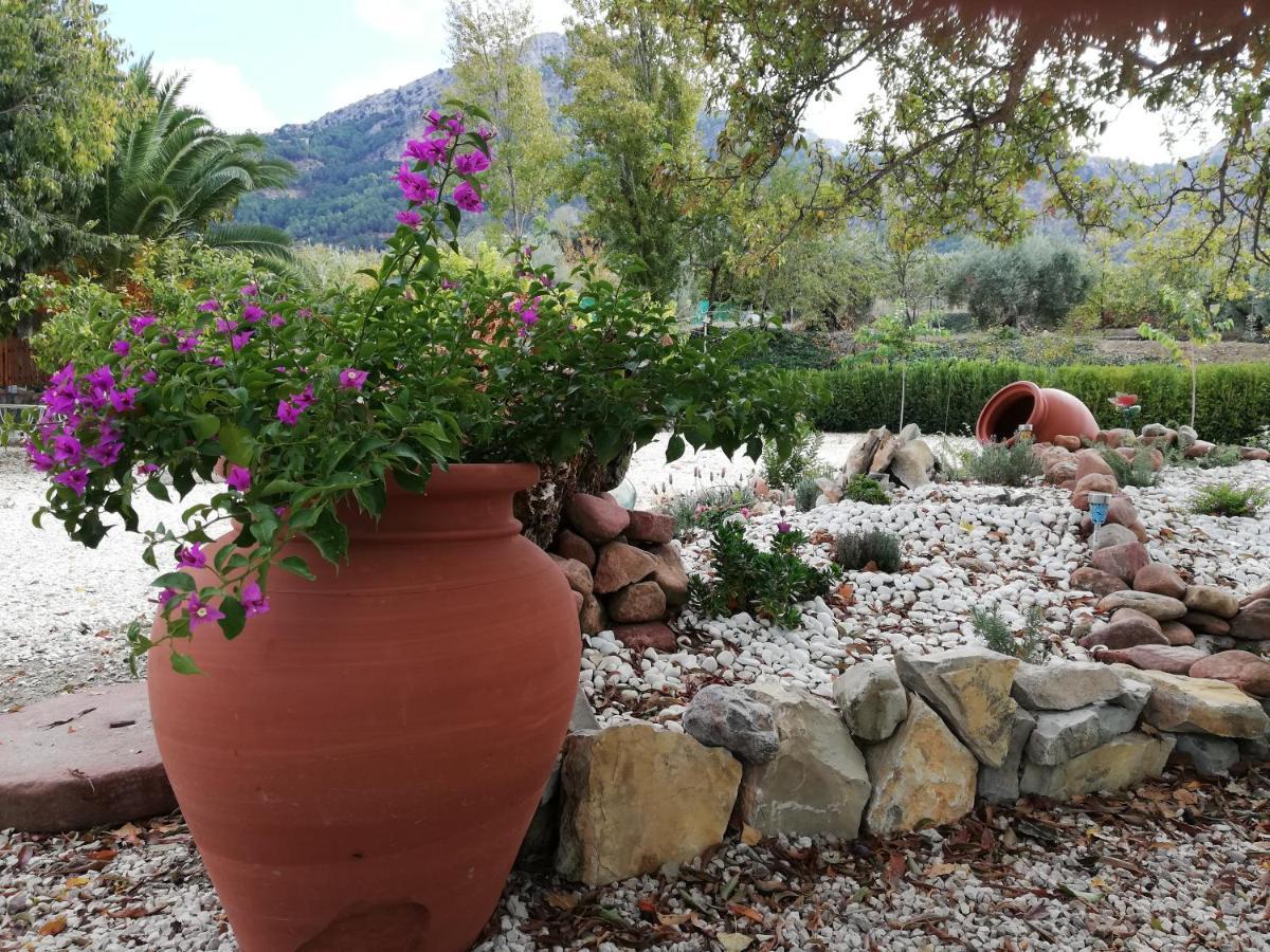 Alojamiento Rural Casa Fuente Del Prado La Iruela Kültér fotó