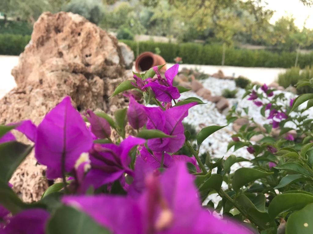Alojamiento Rural Casa Fuente Del Prado La Iruela Kültér fotó